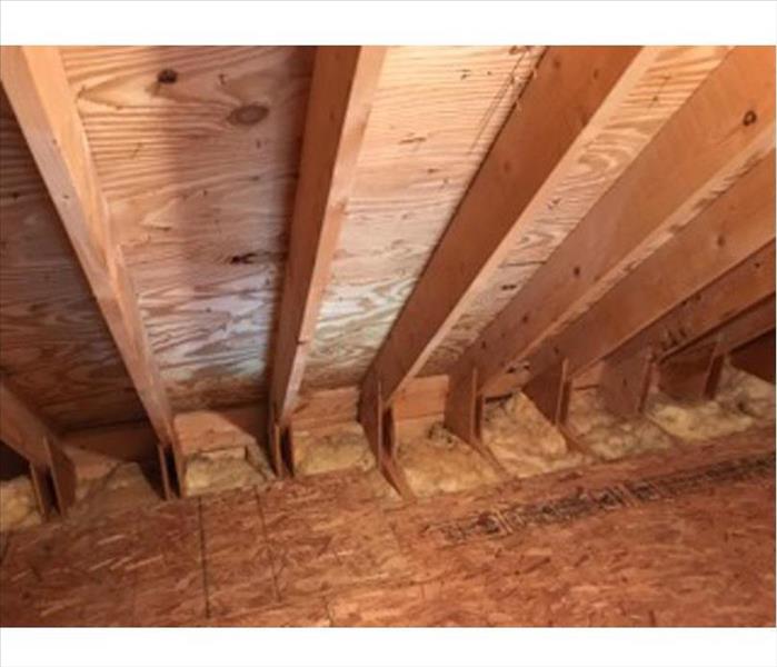 after cleaning and scraping, no more mold is visible, clean and sanitary, the batten insulation is under the plywood flooring