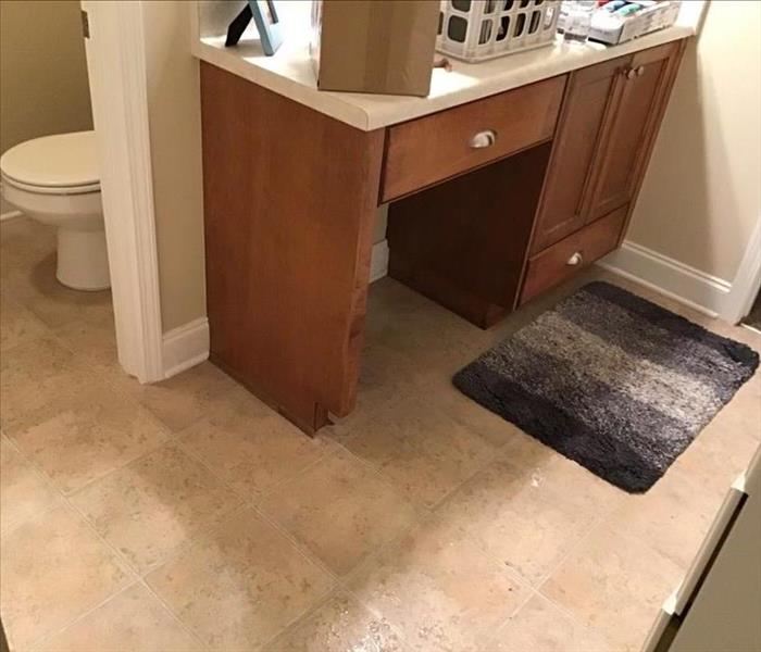 pristine-looking vanity and commode, new tile floor and painted walls and baseboards