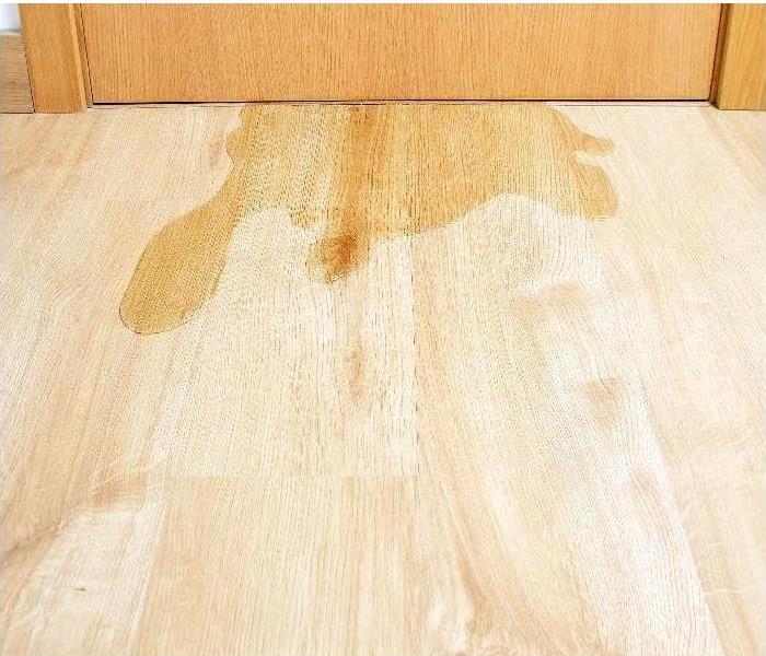 puddle of water on hardwood floor