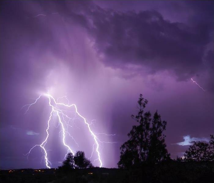 Cloud to ground lightning against a night sky; tree in foreground