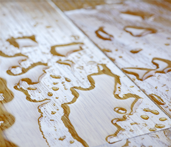 puddles of water on a wooden floor